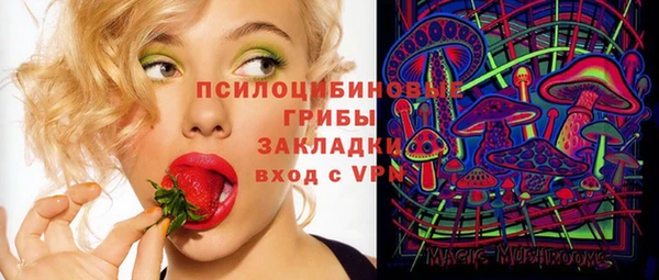 стафф Арсеньев
