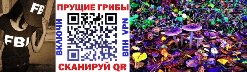 Галлюциногенные грибы MAGIC MUSHROOMS  Купить закладки  Северо-Курильск 